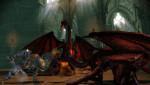 Dragon Age Origins - Awakening 4