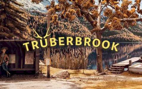 Скачать Truberbrook