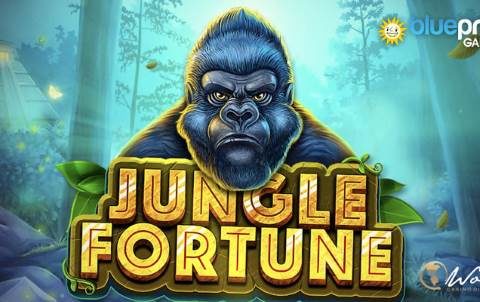 Игровой автомат Jungle Fortune в казино Вулкан Ориджинал